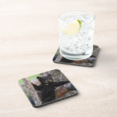 Dessous-de-verre Black Bears Cub Lounge (Côté Droit)