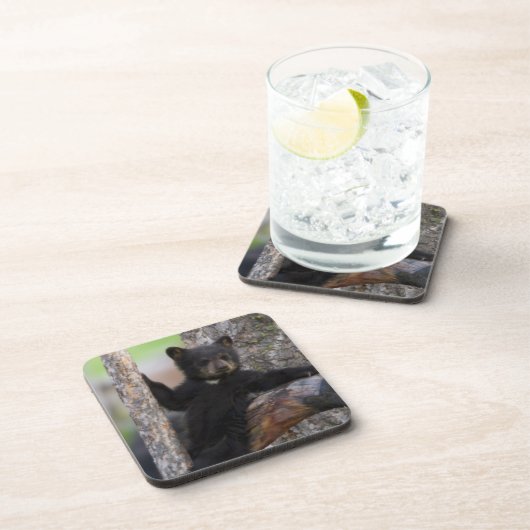 Dessous-de-verre Black Bears Cub Lounge (Côté Droit)