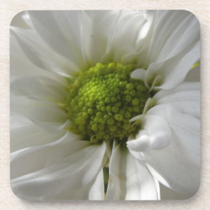 Dessous de verre blanc de liège Chrysanthemum