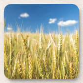 Dessous-de-verre Blé du Kansas (Devant)