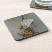 Dessous-de-verre Bleu blanc orange avec points noirs Papillon (Côté gauche)