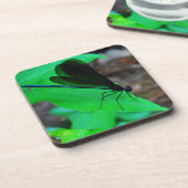 Dessous-de-verre Blue Damselfly on a green leaf. (Côté gauche)