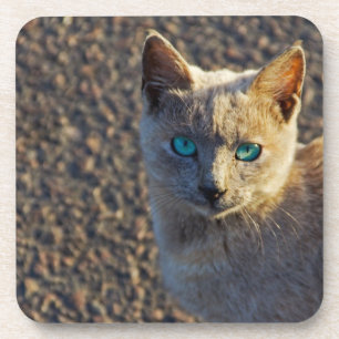 Dessous-de-verre Blue Eyed