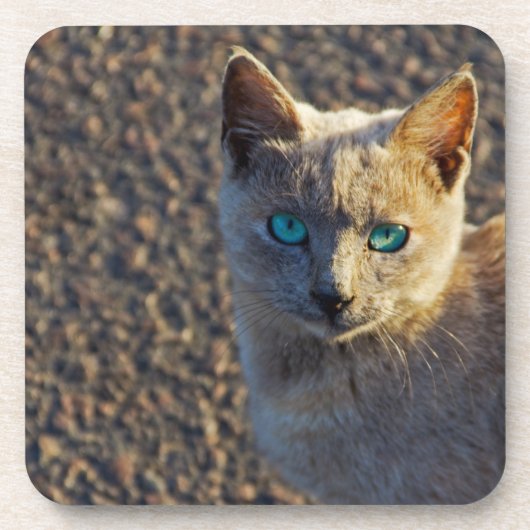 Dessous-de-verre Blue Eyed (Devant)