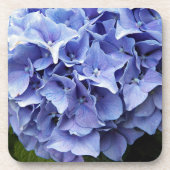 Dessous-de-verre Blue Mophead Hydrangea Floral (Devant)