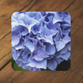 Dessous-de-verre Blue Mophead Hydrangea Floral