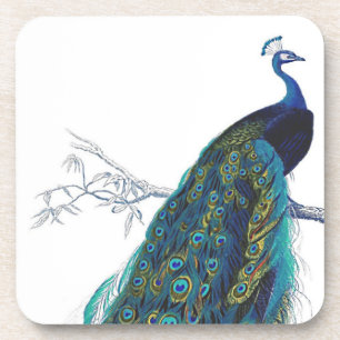 Dessous-de-verre Blue Peacock with beautiful tail feathers