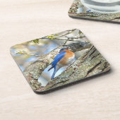 Dessous-de-verre Bluebird (Côté gauche)