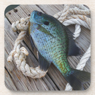 Dessous-de-verre bluegill sur quai