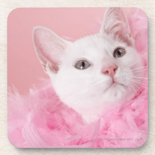 Dessous-de-verre Boa de plume de port de chat