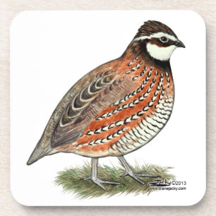 Dessous-de-verre Bobwhite Quail