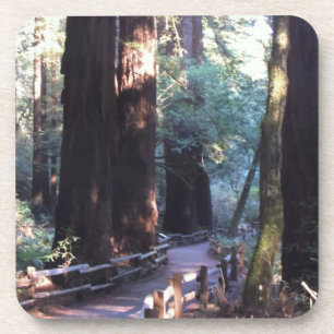 Dessous-de-verre Bois de Muir
