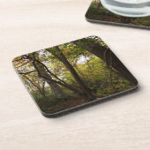 Dessous de verre boisés (Côté gauche)