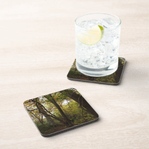 Dessous de verre boisés