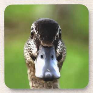 Dessous-de-verre Bonjour Ducky Quirky Duck Portrait