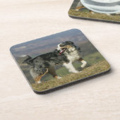Dessous-de-verre Border collie haletant 2 (Côté gauche)