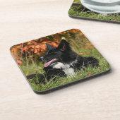 Dessous-de-verre Border collie haletant la fixation (Côté gauche)