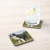 Dessous-de-verre Border collie haletant la position (Côté Droit)