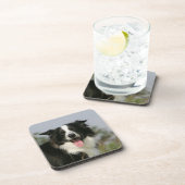 Dessous-de-verre Border collie haletant le Headshot 1 (Côté Droit)