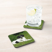 Dessous-de-verre Bordure Collie (Côté Droit)