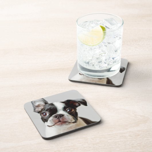 Dessous-de-verre Boston Terrier (Côté Droit)