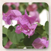 Dessous-de-verre Bougainvillée (Devant)