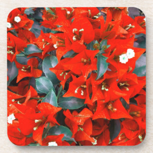 Dessous-de-verre Bougainvilliers rouges vibrants