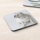 Dessous-de-verre Bouledogue anglais blanc (Côté gauche)