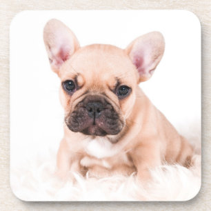 Dessous-de-verre Bouledogue français