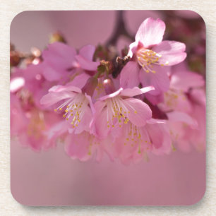 Dessous-de-verre Bouquet délicat de fleurs de cerisier Sakura rose