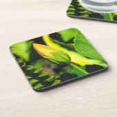 Dessous-de-verre Bouton de fleur d'Hibiscus (Côté gauche)