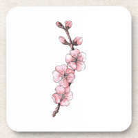 Branche d'abricots en fleurs. Croquis aquarelle.