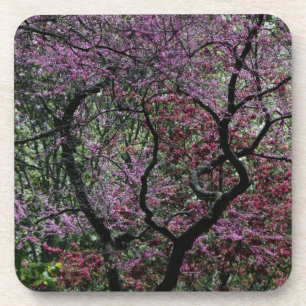 Dessous-de-verre Branches et fleurs