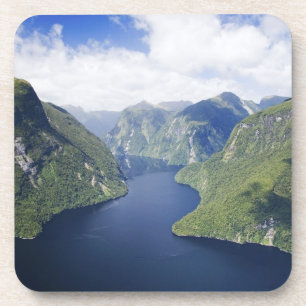 Dessous-de-verre Bras Courbe, Malaspina Reach, Doubtful Sound,
