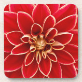 Dessous-de-verre Bright Red Dahlia Flower Close Up Photo (Devant)