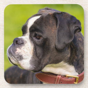 Dessous-de-verre Brindle Boxer Puppy Dog