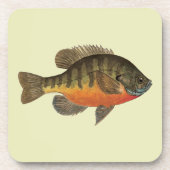 Dessous-de-verre Brise de Bluegill (Devant)