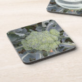 Dessous de verre Broccoli Cork (Côté gauche)