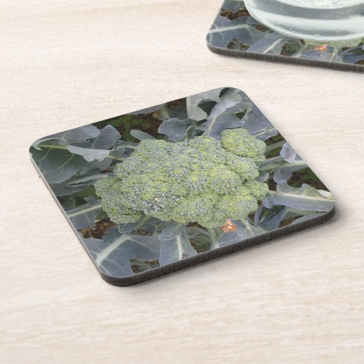 Dessous de verre Broccoli Cork (Côté gauche)