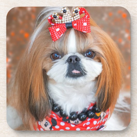 Dessous-de-verre Brown and White Shih Tzu Puppy Dog (Devant)