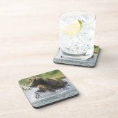 Dessous-de-verre Brown Bear chasing salmon in river (Côté Droit)