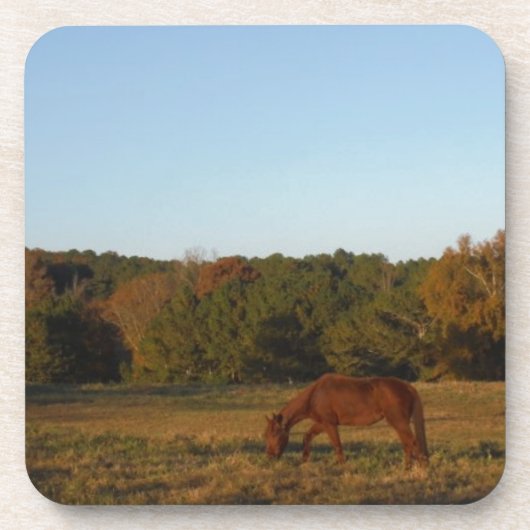 Dessous-de-verre Brown horse in the Sun (Devant)