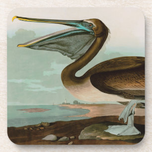 Dessous-de-verre Brown Pelican Birds of America Audubon Imprimer