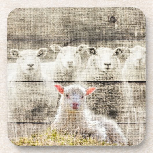 Dessous-de-verre Brûlure d'agneau de bébé à mouton rustique (Devant)
