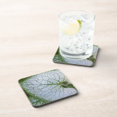 Dessous-de-verre Brunnera Macrophyllum Plante feuille florale (Côté Droit)