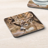 Dessous-de-verre Buck de cerf à queue blanche (Côté gauche)