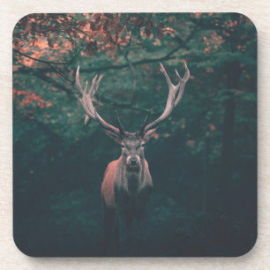 Dessous-de-verre Buck Deer animal sauvage