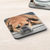 Dessous-de-verre Bull Dog (Côté gauche)