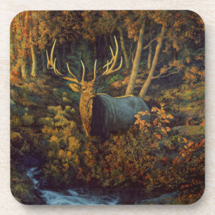 Dessous-de-verre Bull Elk dans la forêt d'automne