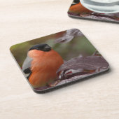 Dessous-de-verre Bull Finch (Côté gauche)